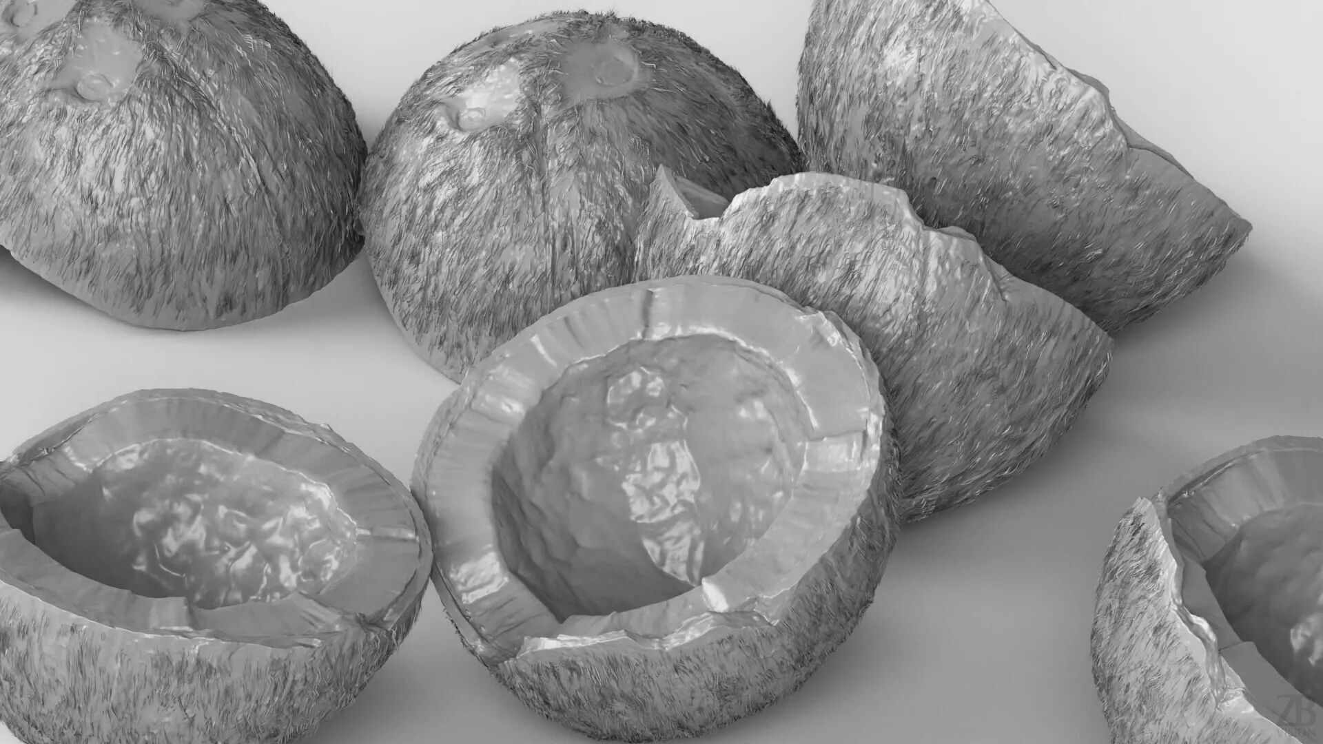 Coconut 3D model_3