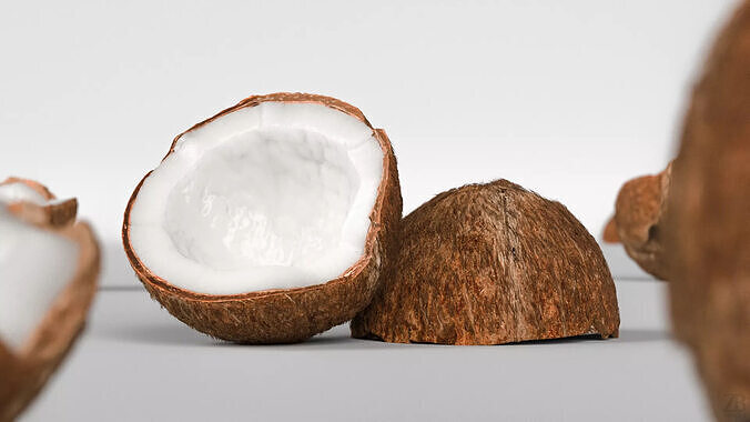 Coconut 3D model 2