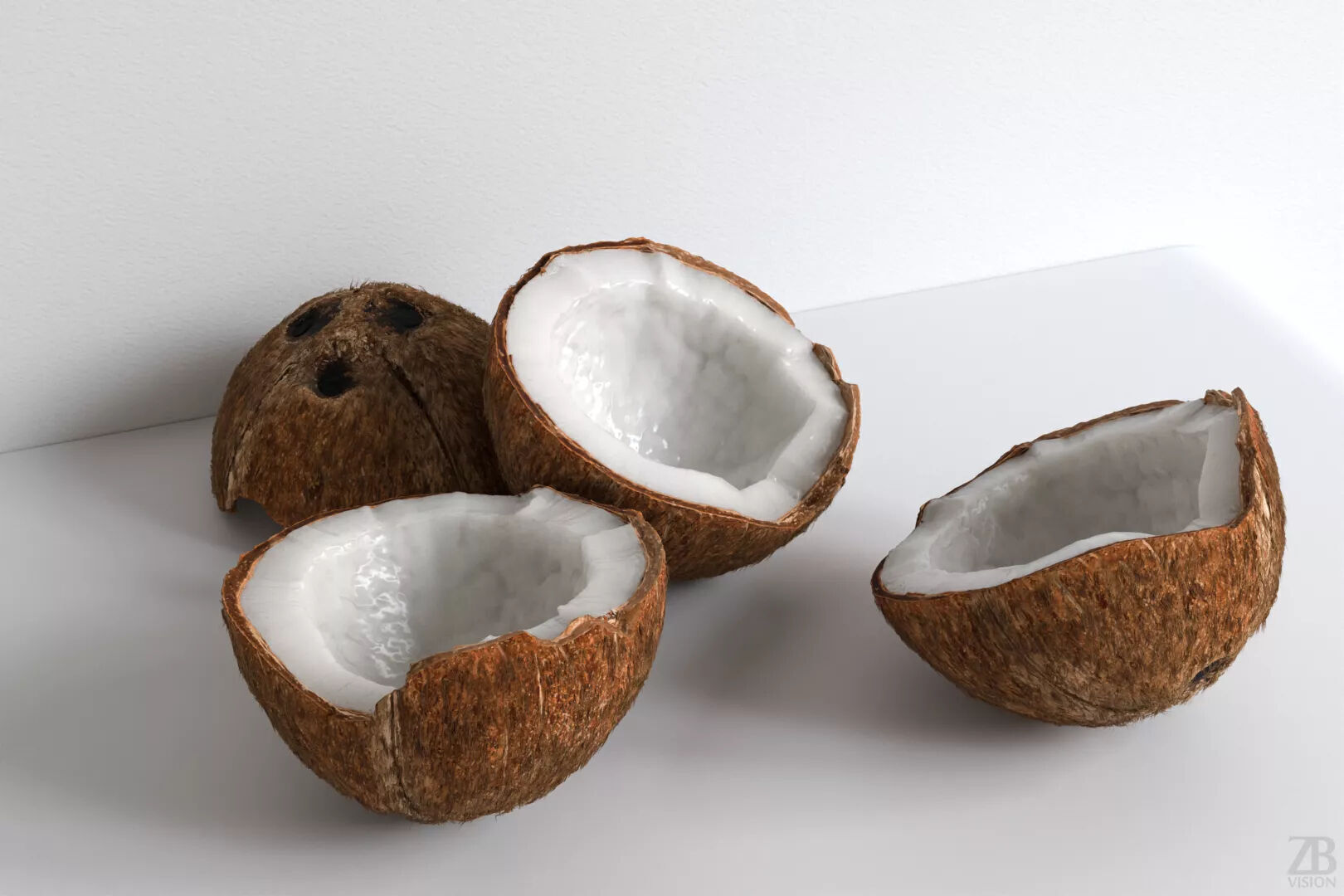 Coconut 3D model_0