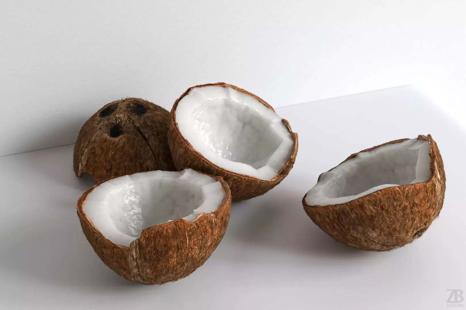 Coconut 3D model_0