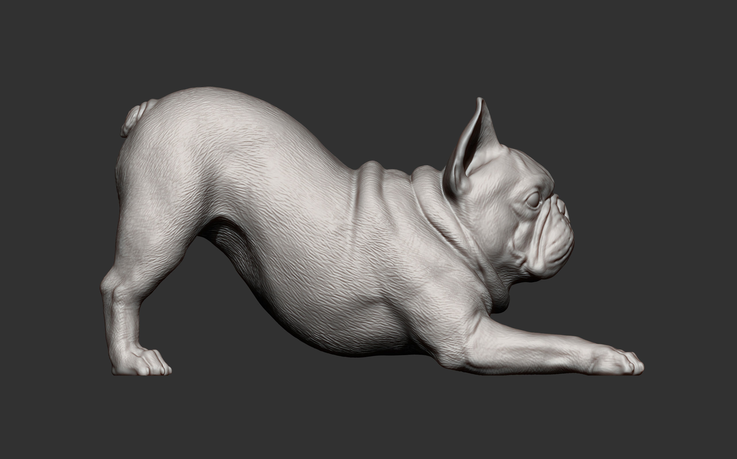 French Bulldog 3D print model_5