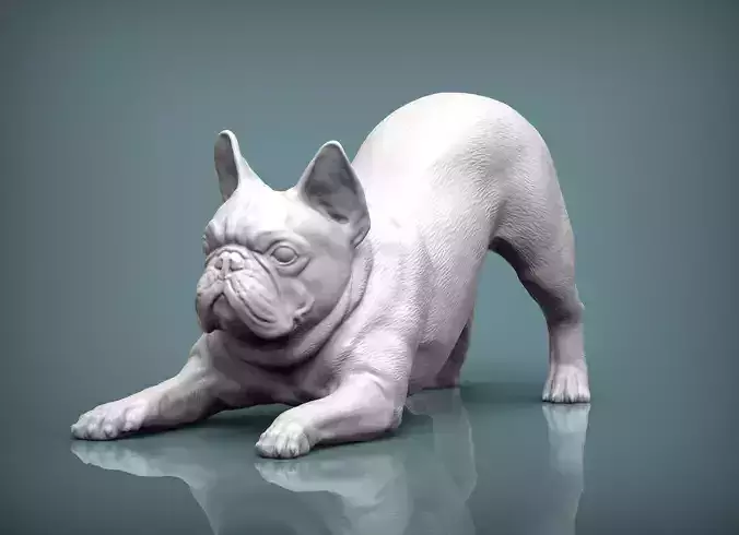 French Bulldog