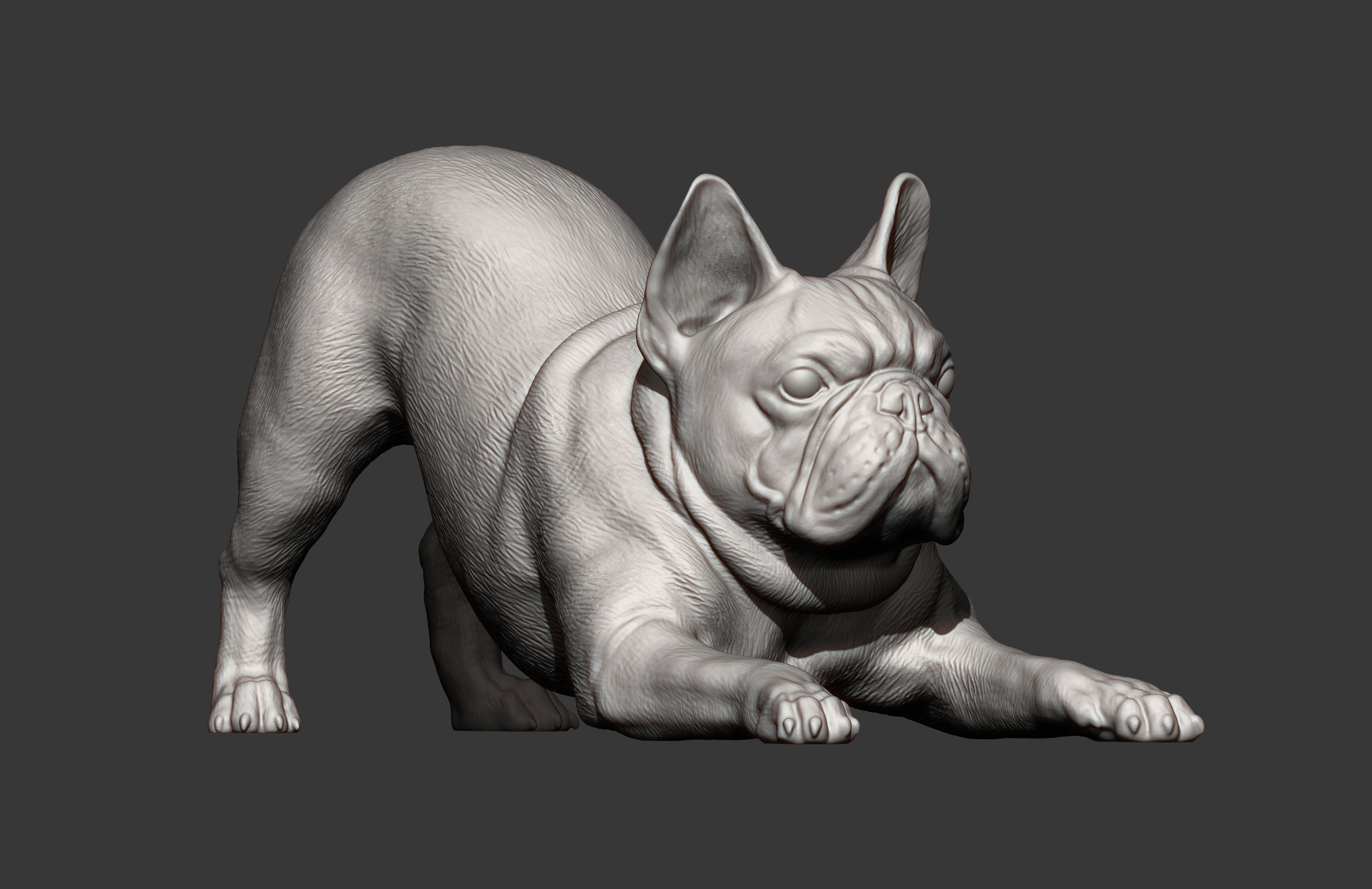 French Bulldog 3D print model_9