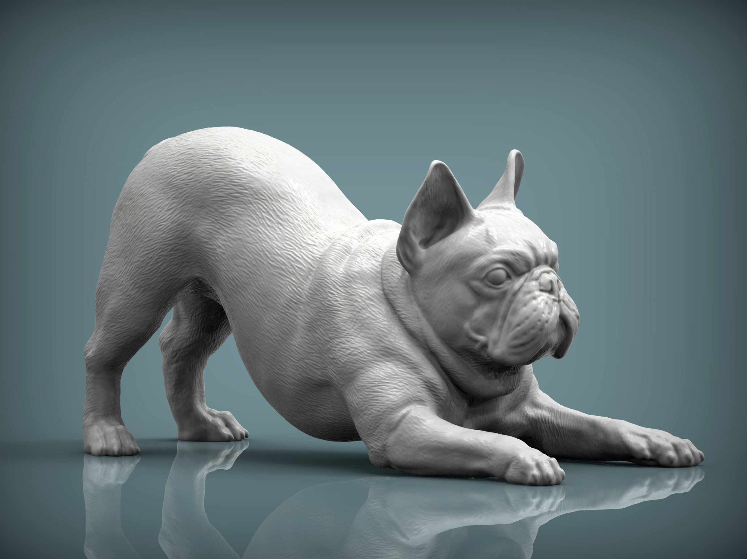 French Bulldog 3D print model_4