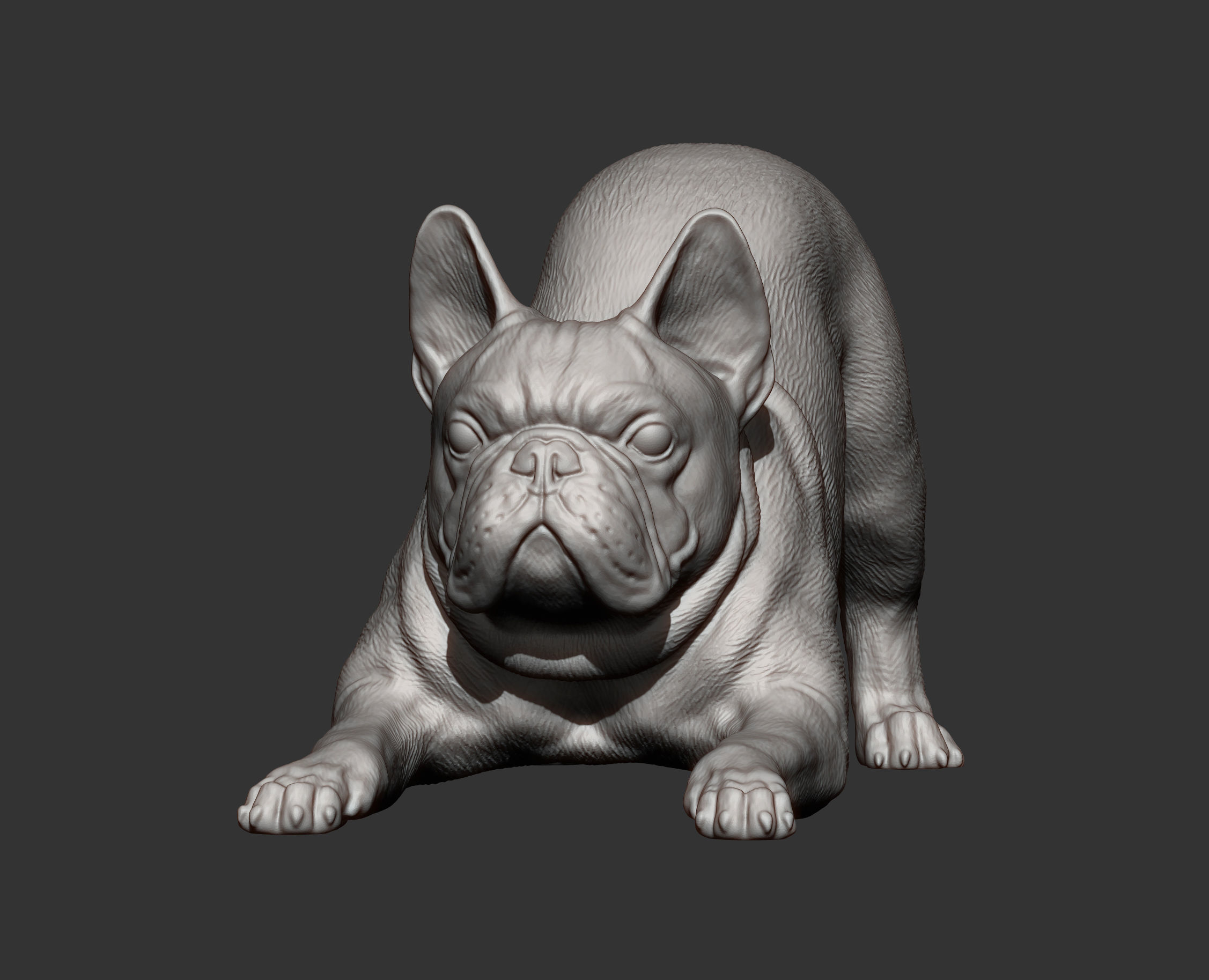 French Bulldog 3D print model_8