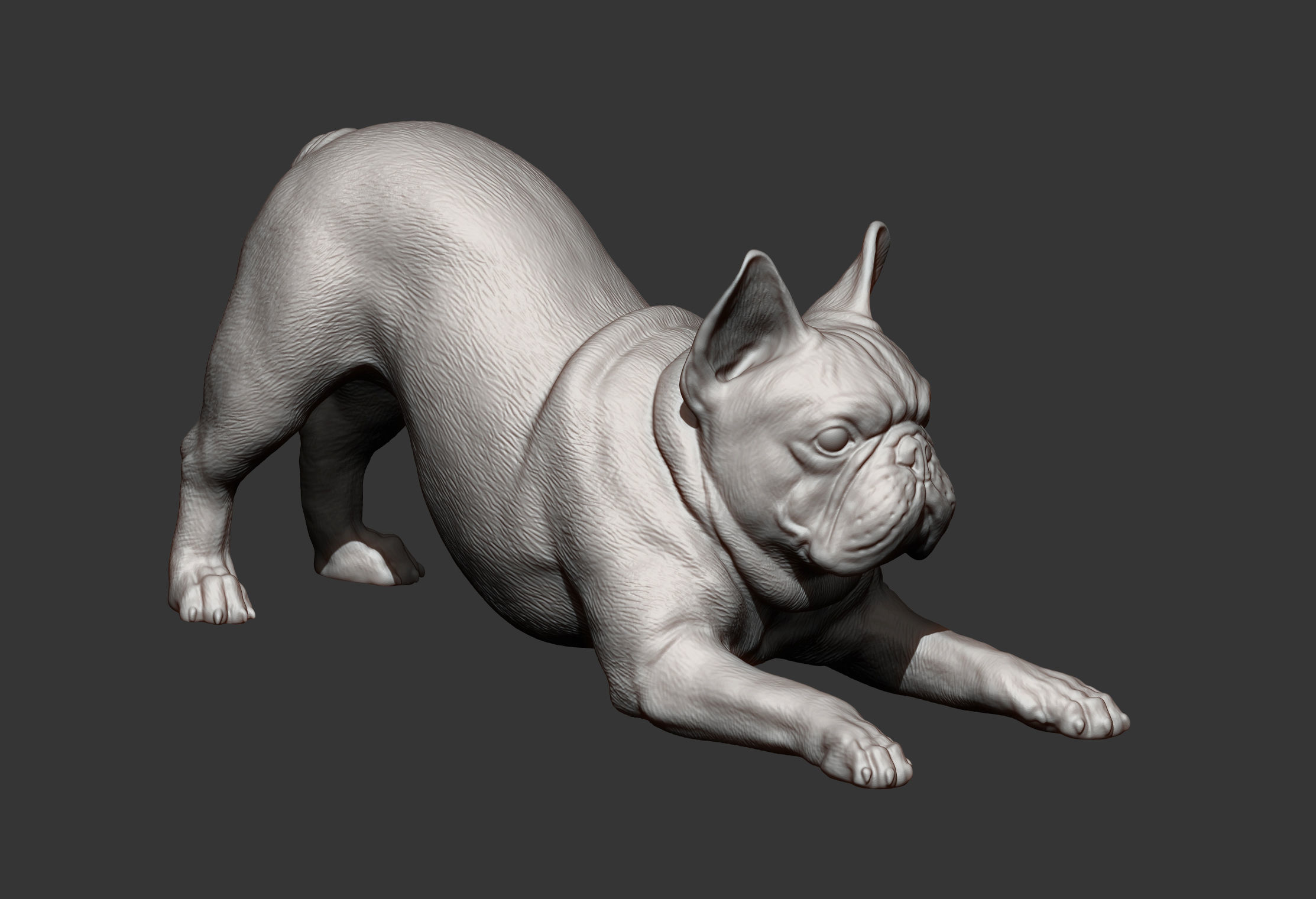 French Bulldog 3D print model_7
