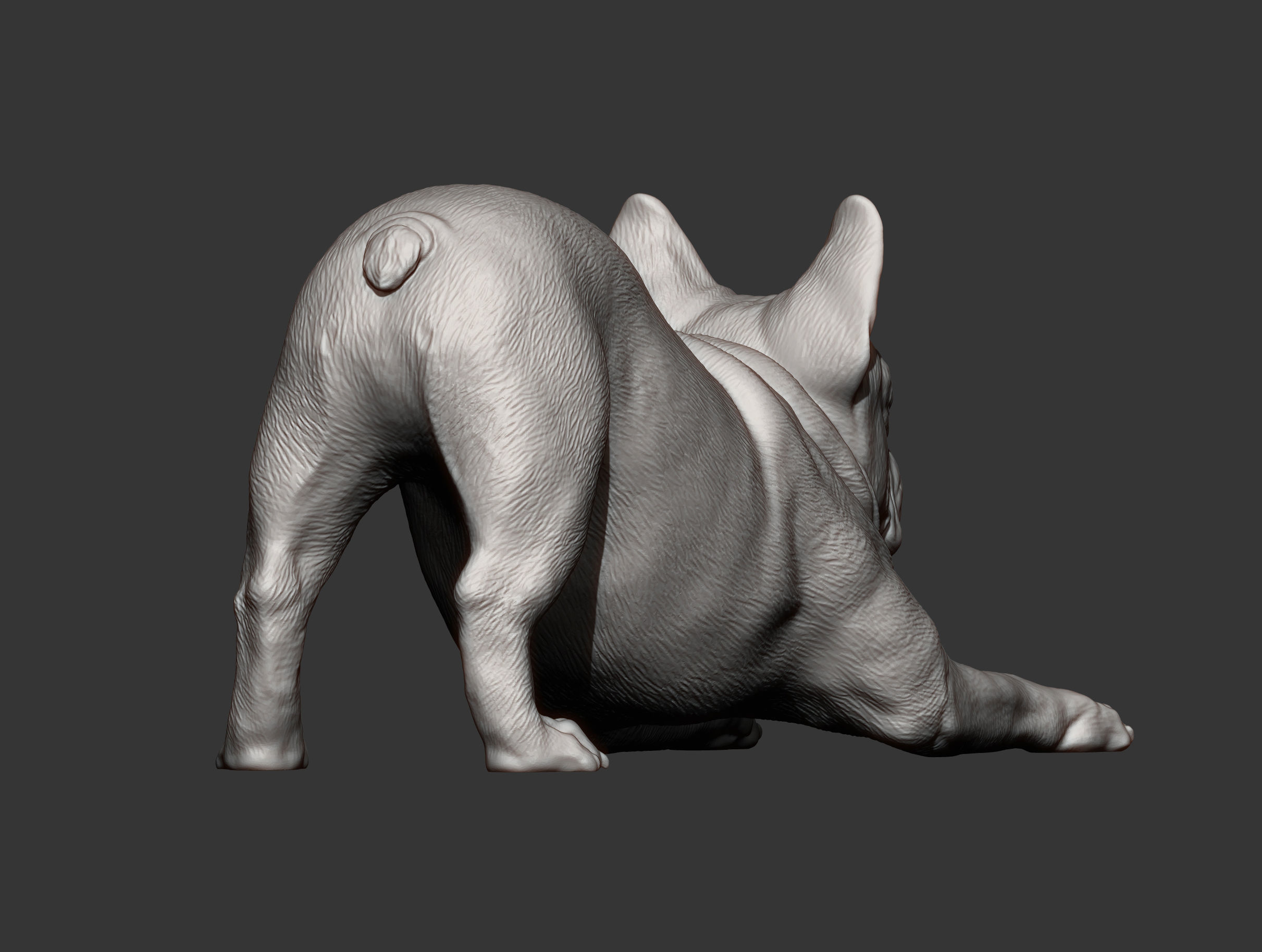 French Bulldog 3D print model_6