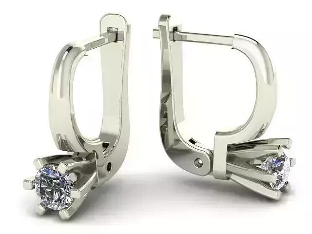 G0021 two diamond earrings