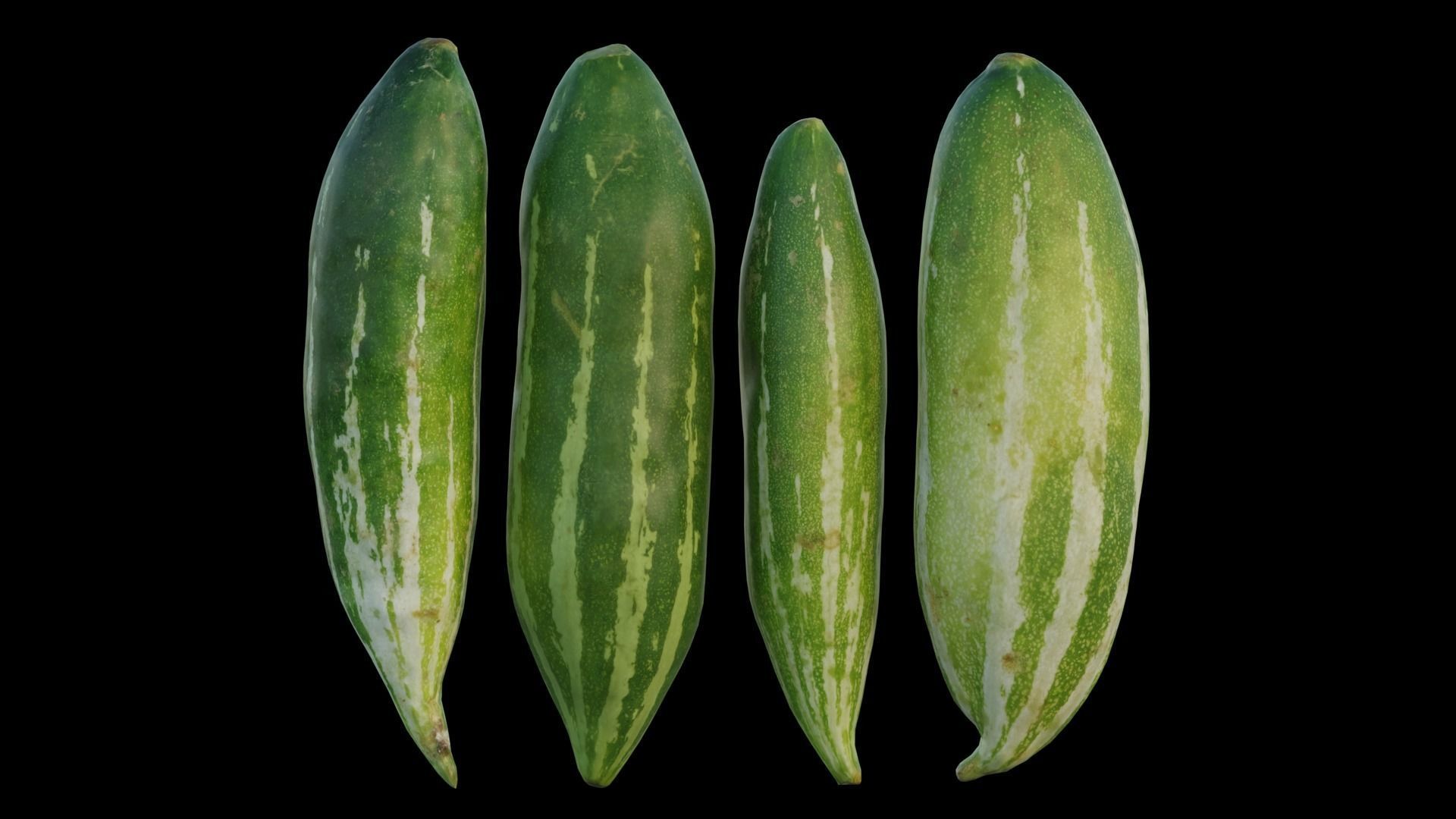 snake gourd 3D model_6