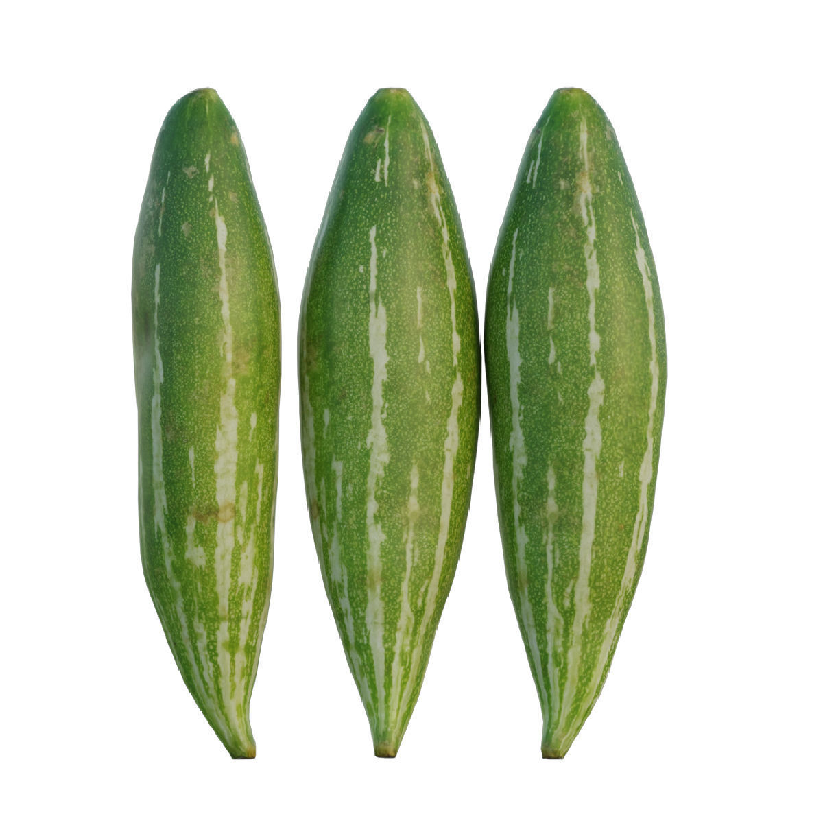 snake gourd 3D model_3