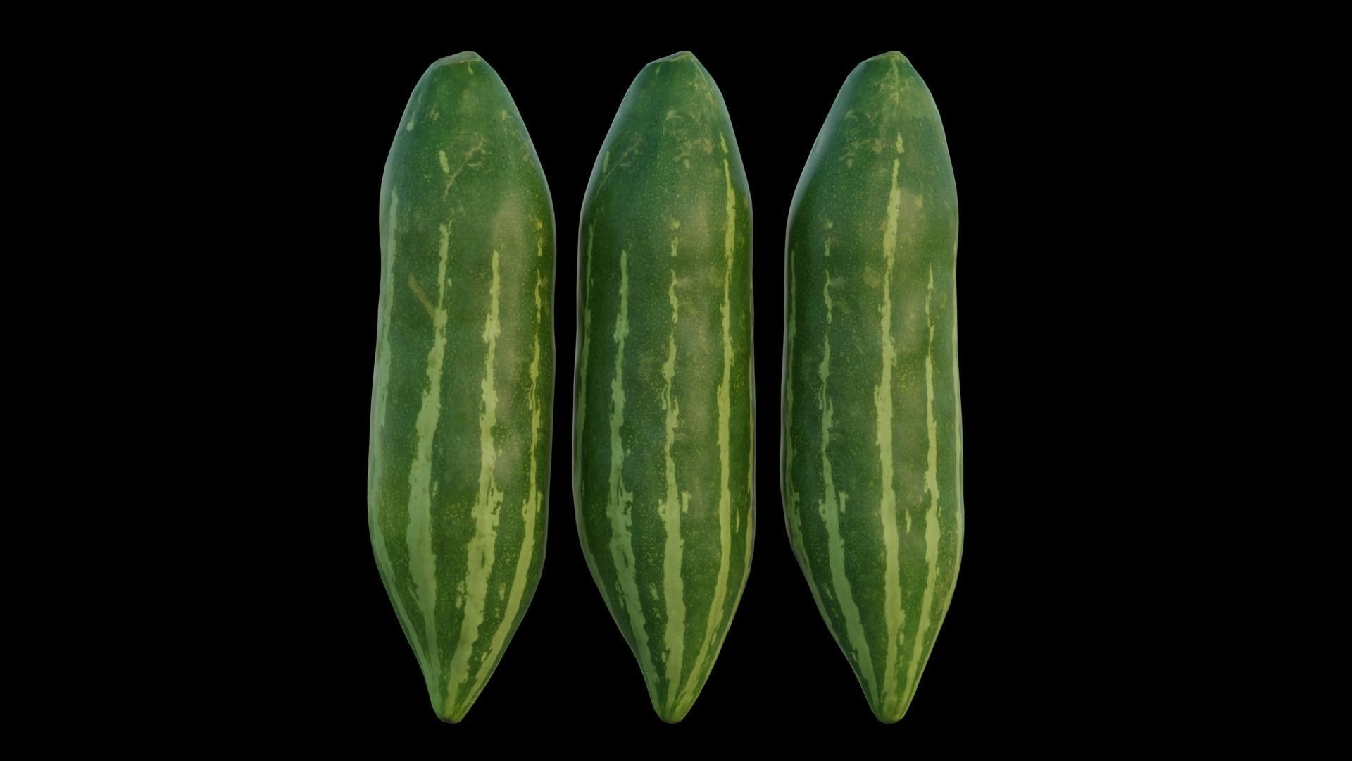 snake gourd 3D model_9