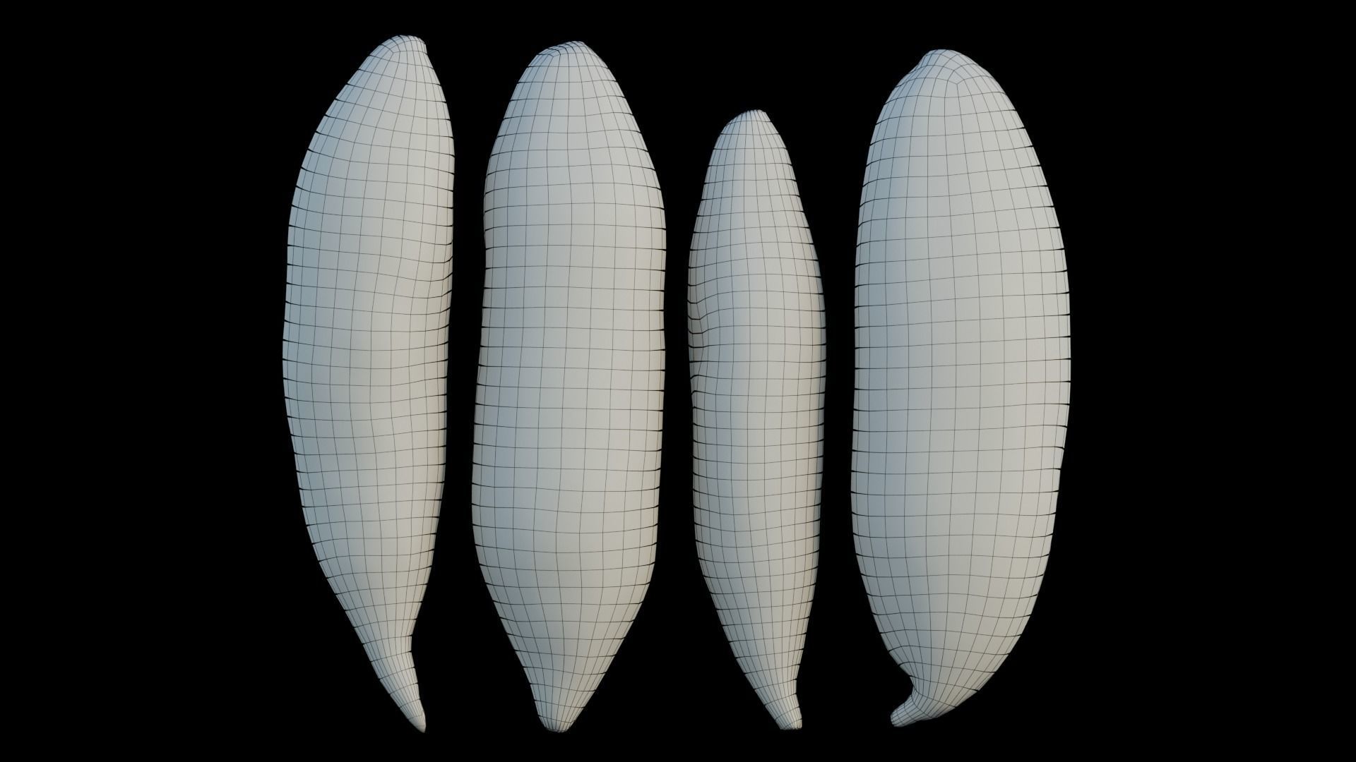 snake gourd 3D model_7