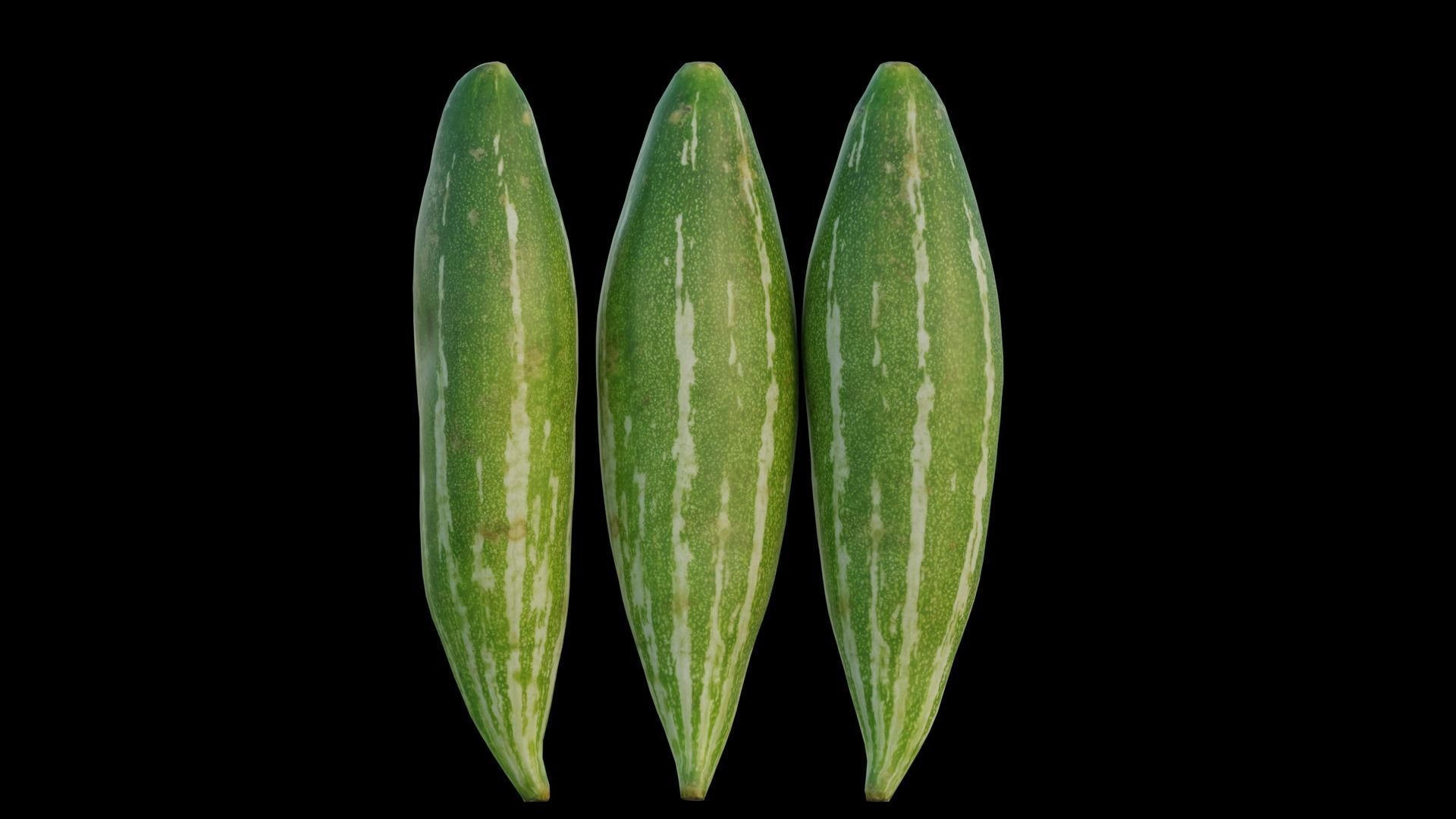 snake gourd 3D model_10