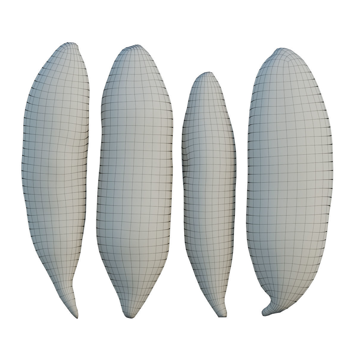 snake gourd 3D model_5