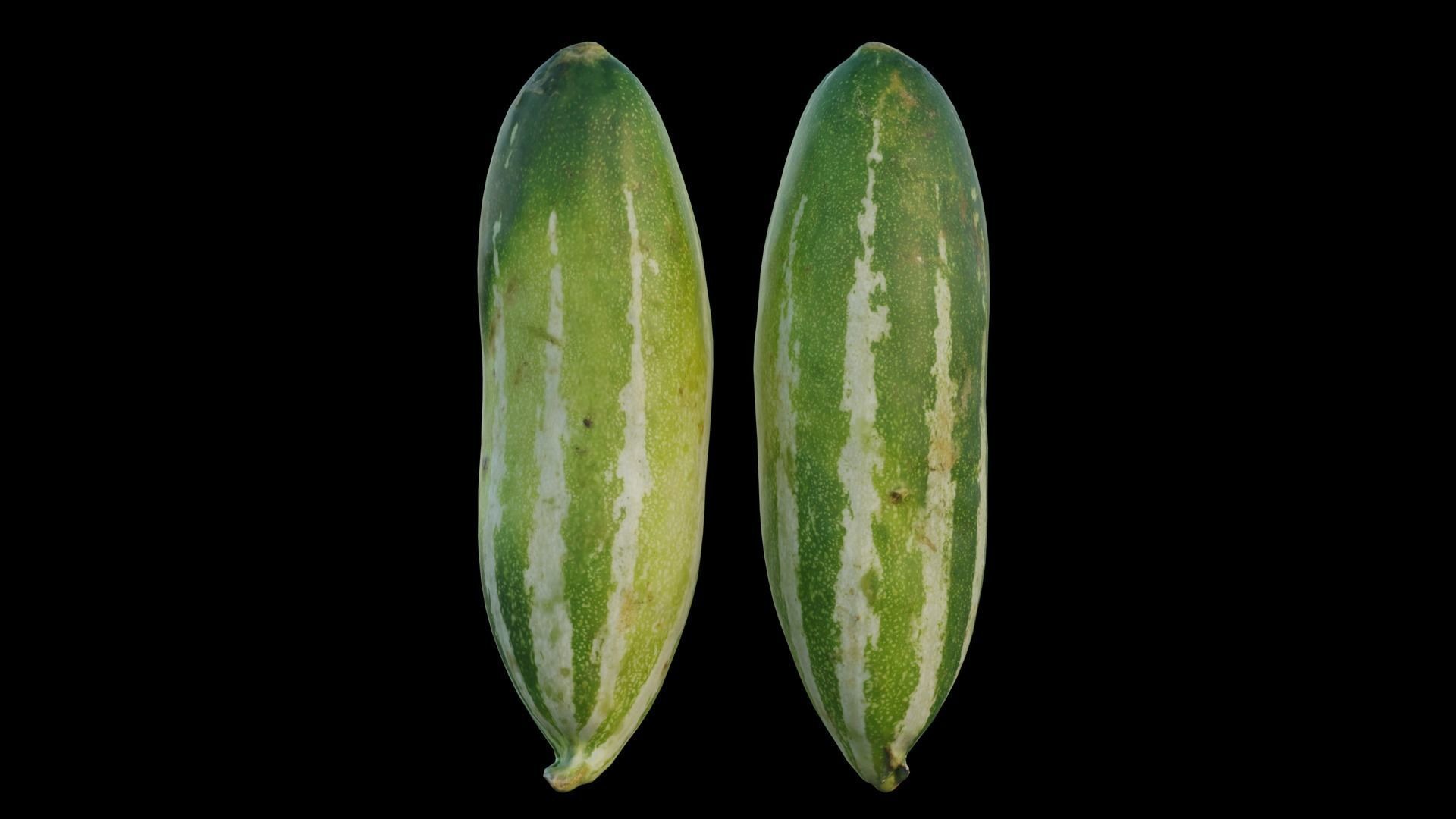 snake gourd 3D model_11