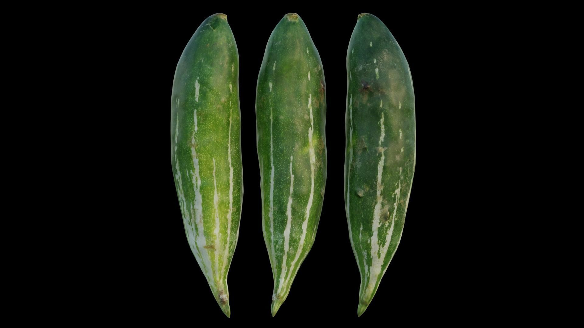 snake gourd 3D model_8