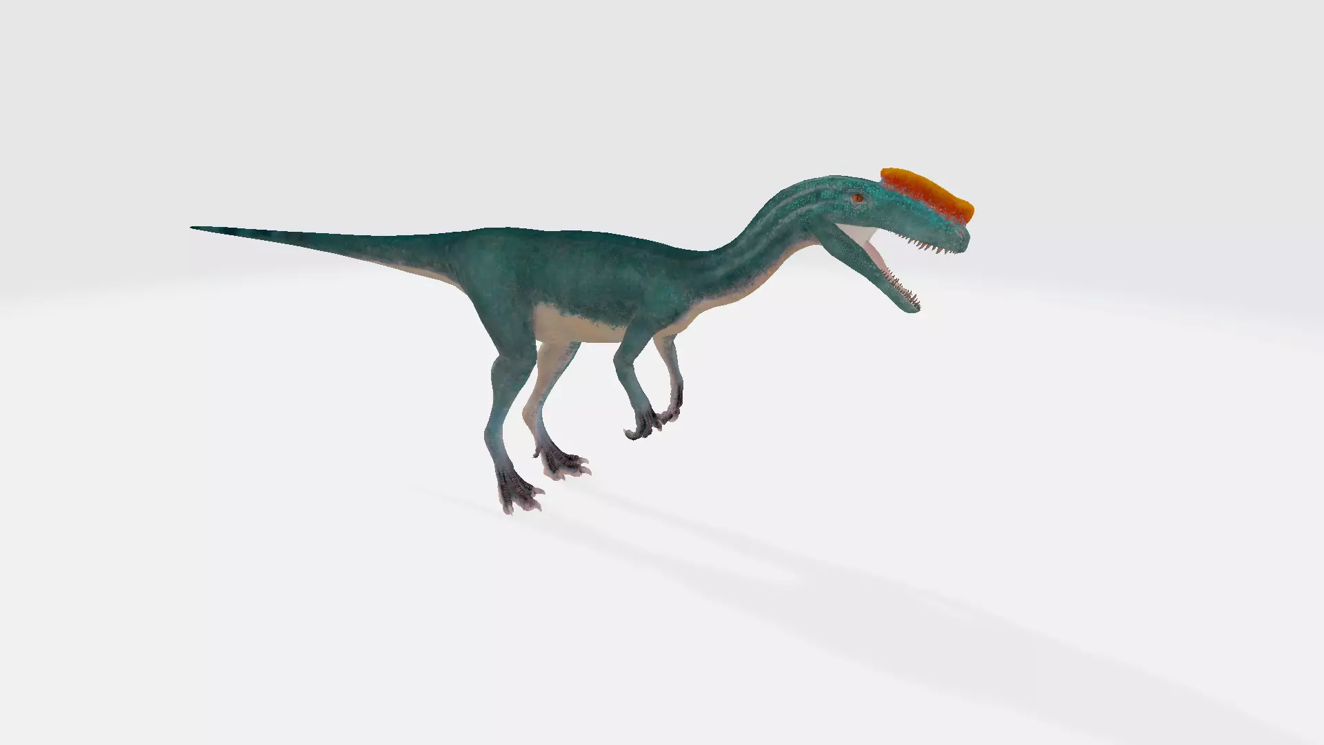 Proceratosaurus dinosaur with orange beak 3D model