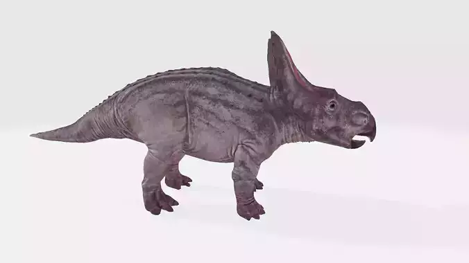 Protoceratops triceratops dinosaur