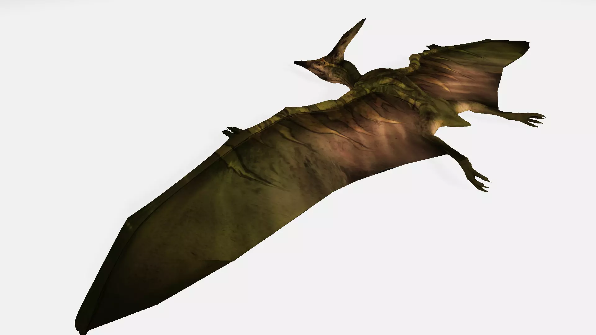 pterodon bat flying 3D model_0
