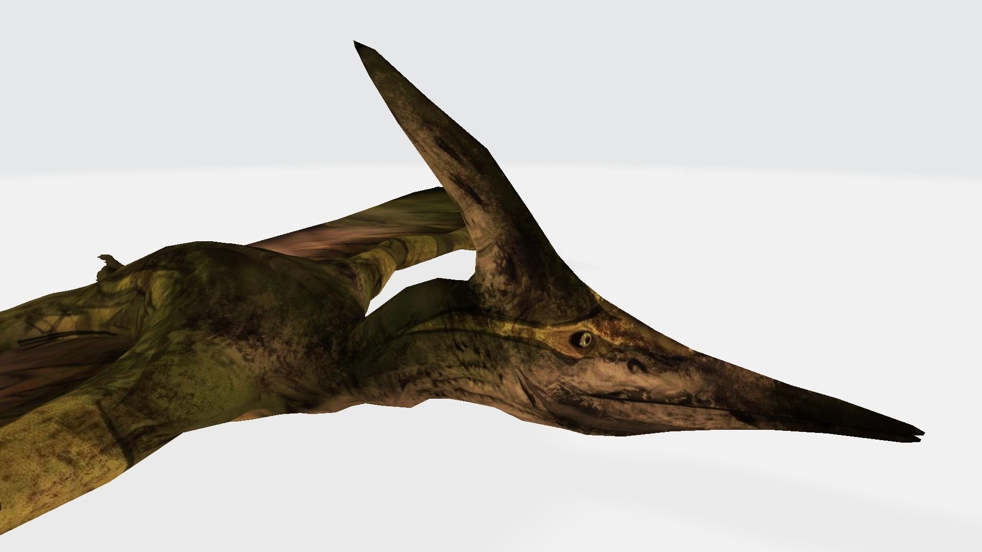 pterodon bat flying 3D model_1