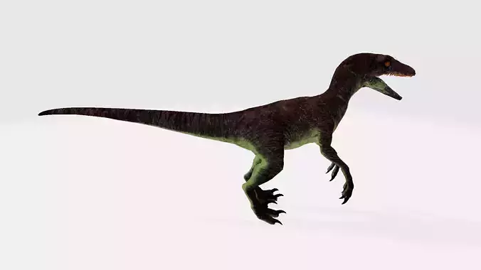 Pyroraptor dinosaur