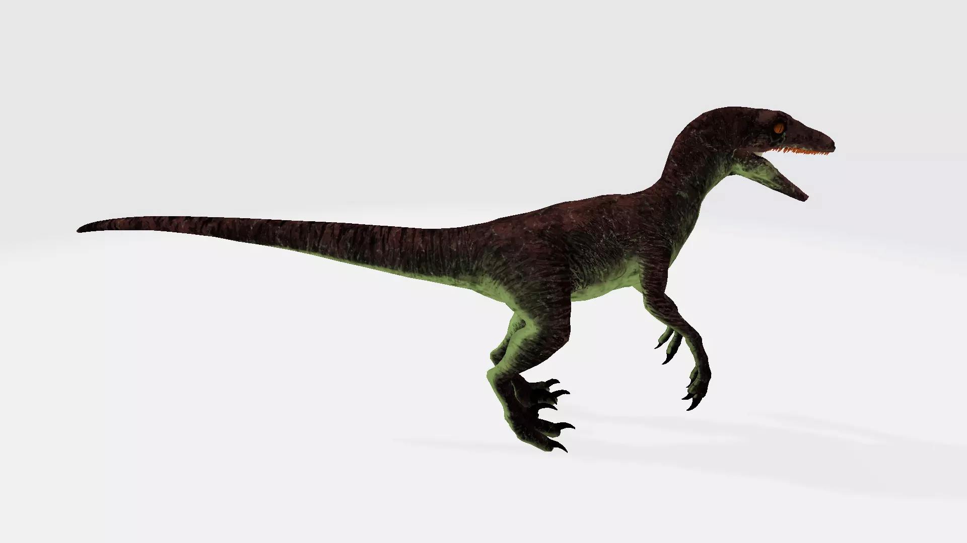 Pyroraptor dinosaur 3D model