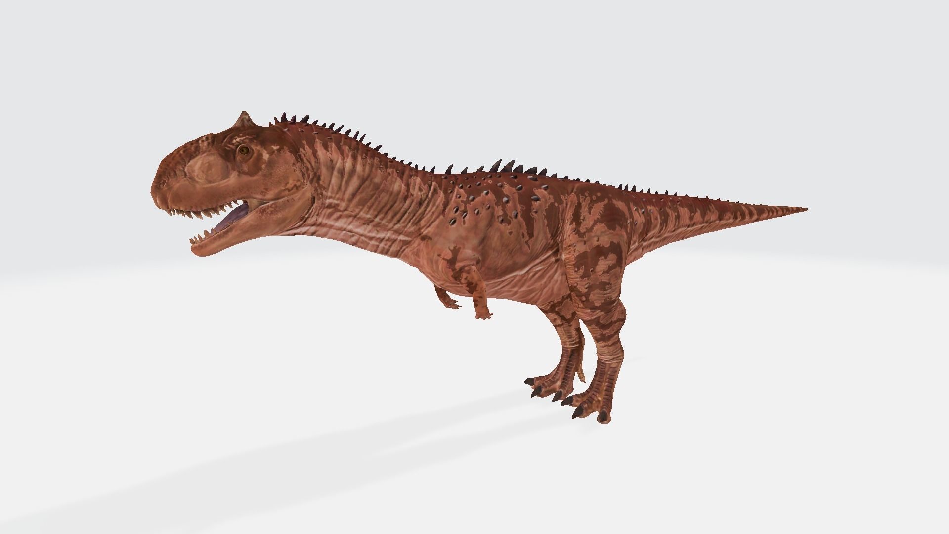Rajasaurus t - rex dinosaur 3D model_1