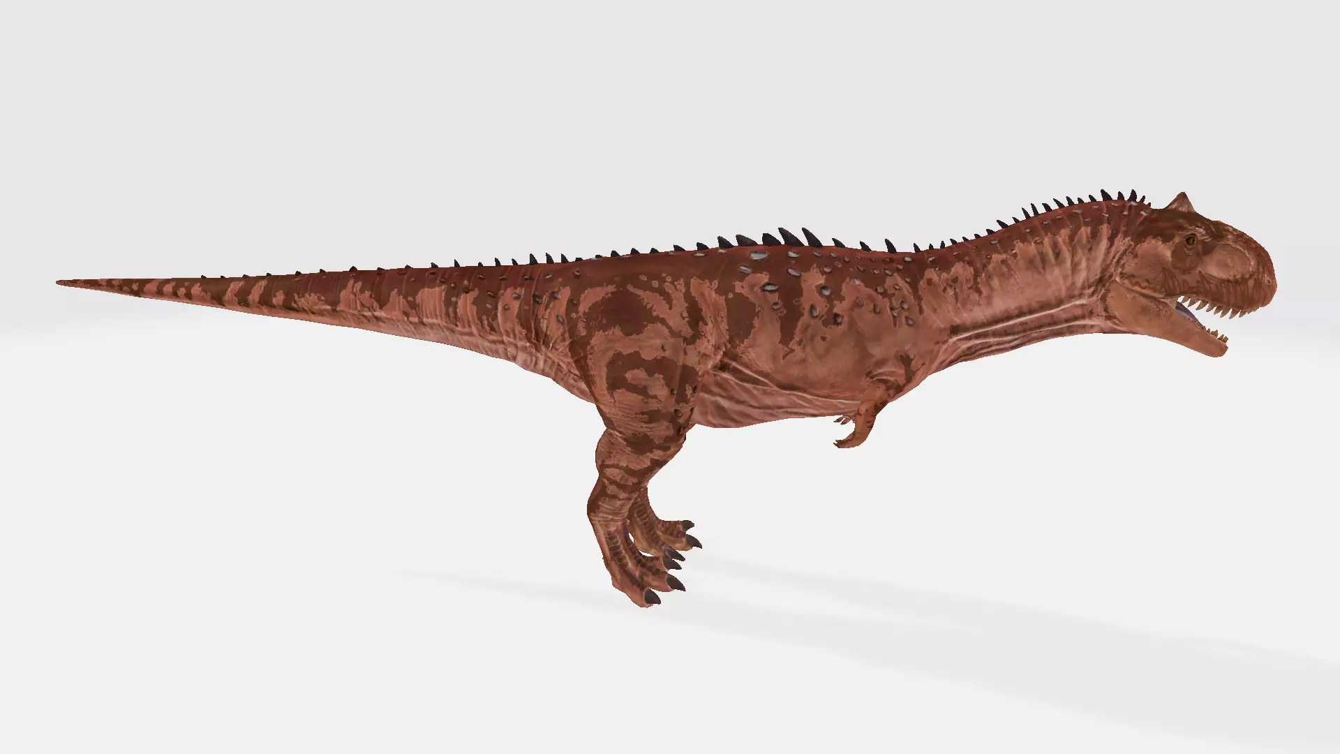Rajasaurus t - rex dinosaur 3D model_0