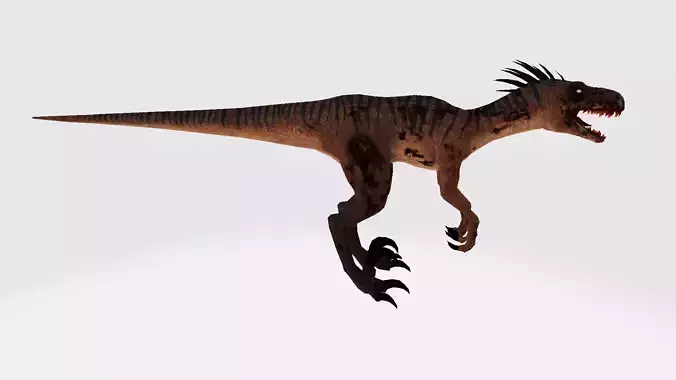 Raptor dinosaur