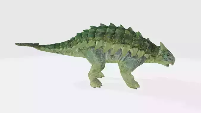Saichania dinosaur 3D model