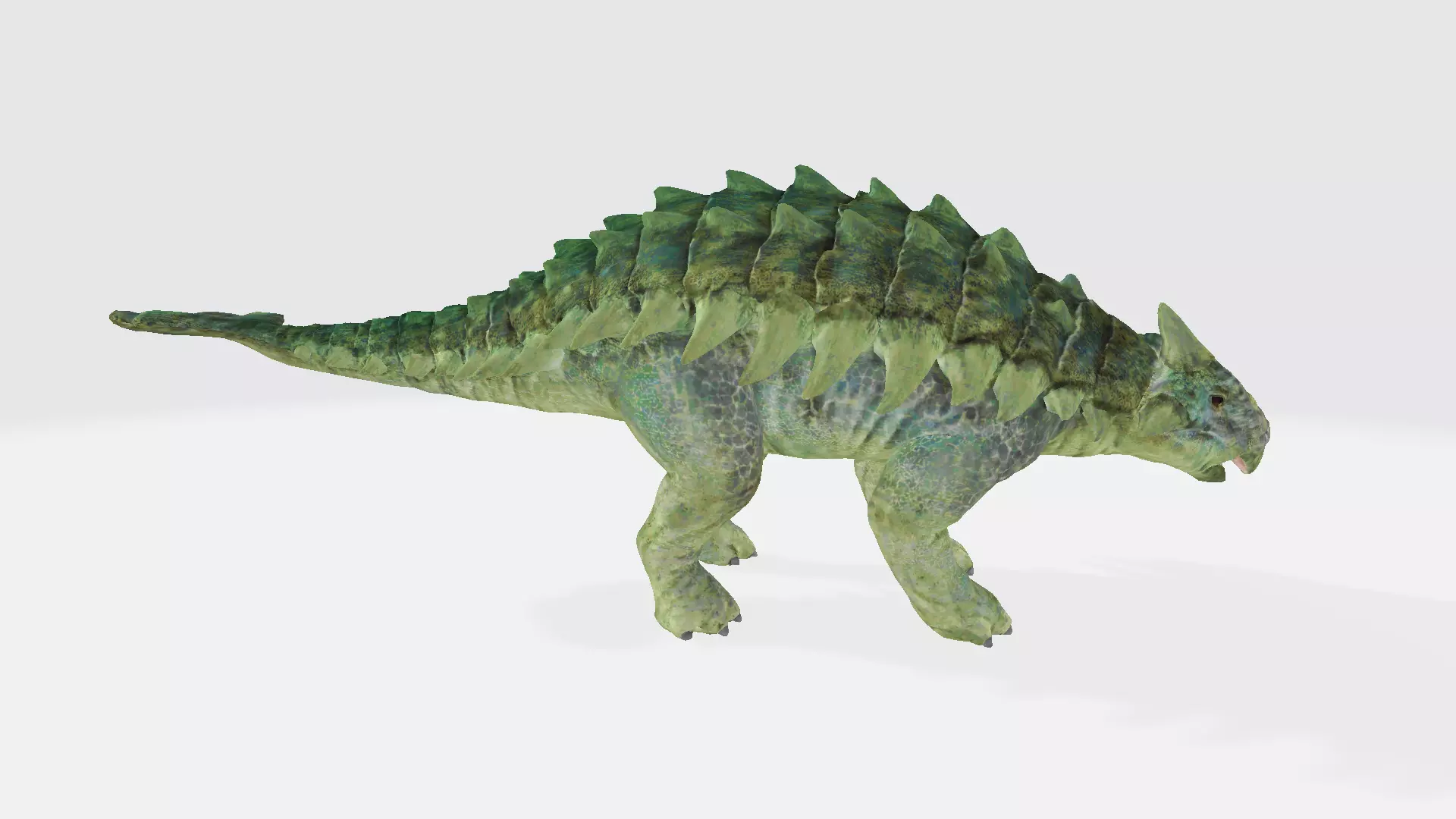 Saichania dinosaur 3D model_0