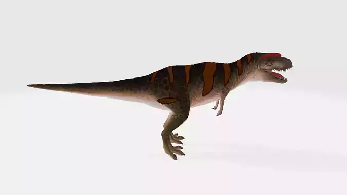 Siamotyrannus t - rex dinosaur 3D model
