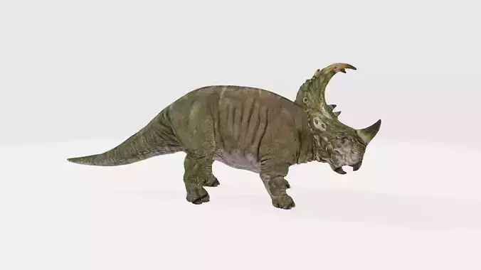Sinoceratops dinosaur