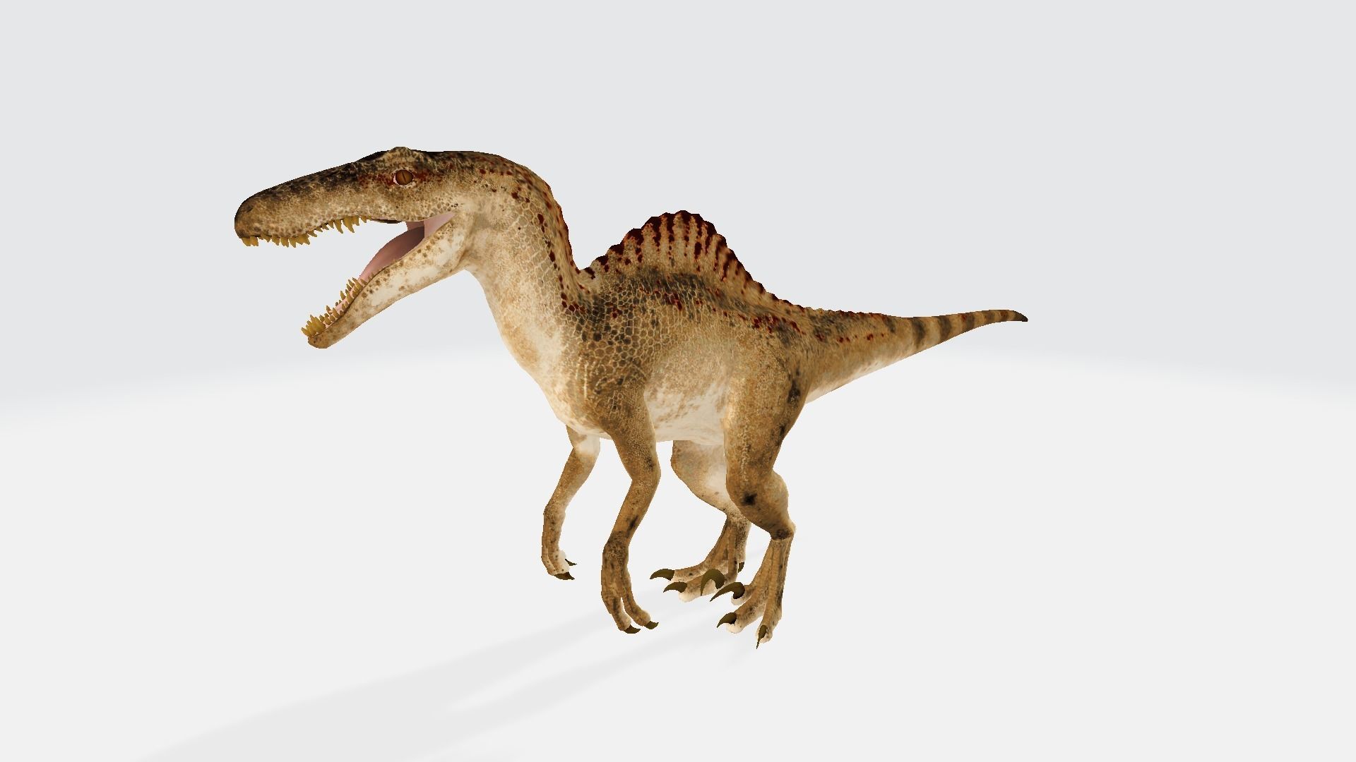 Spinoraptor dinosaur 3D model_1