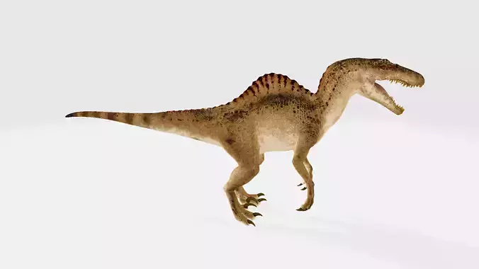 Spinoraptor dinosaur