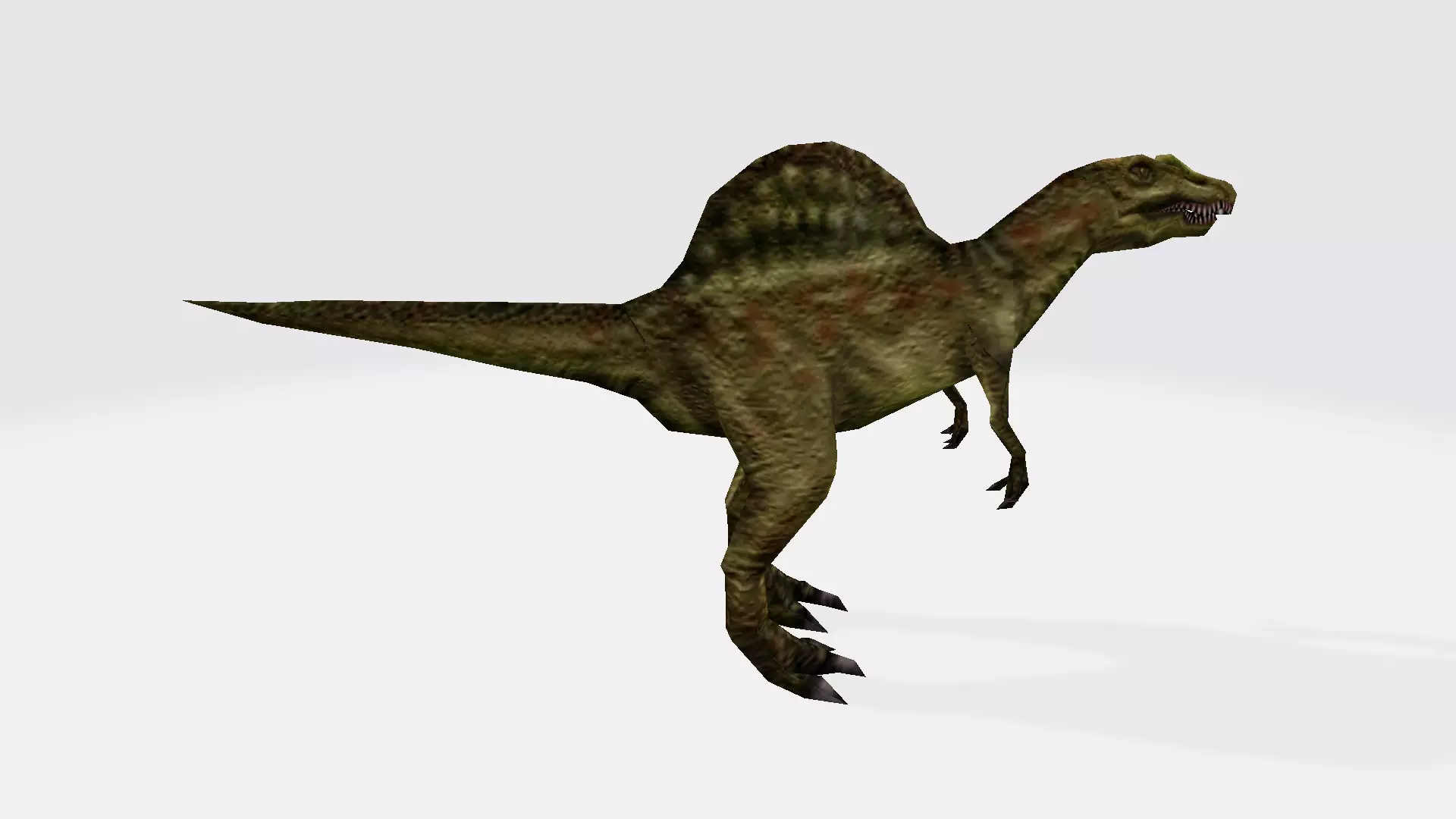 Spinosaurus dinosaur 3D model_0