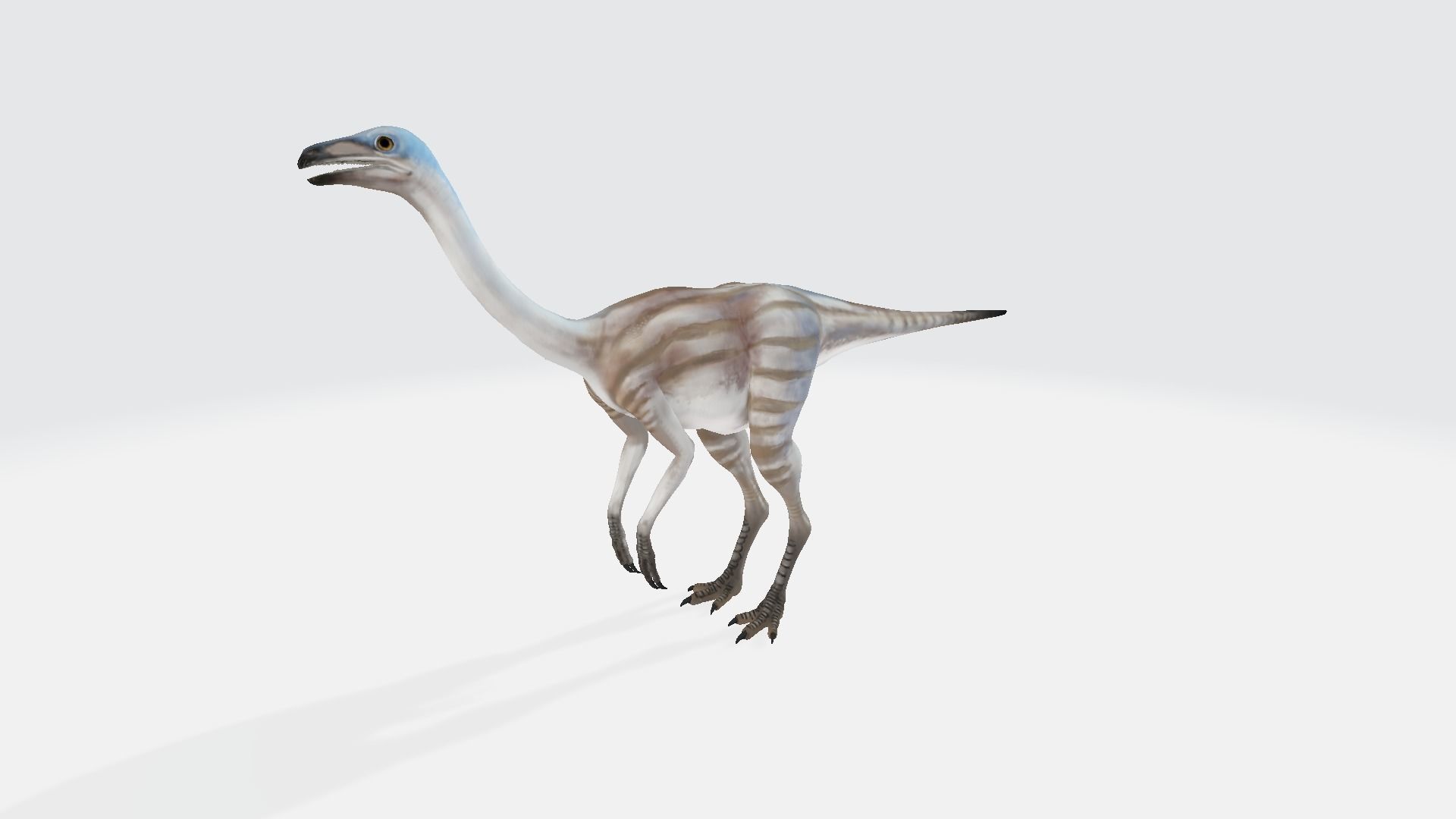 Struthiomimus dinosaur 3D model_1