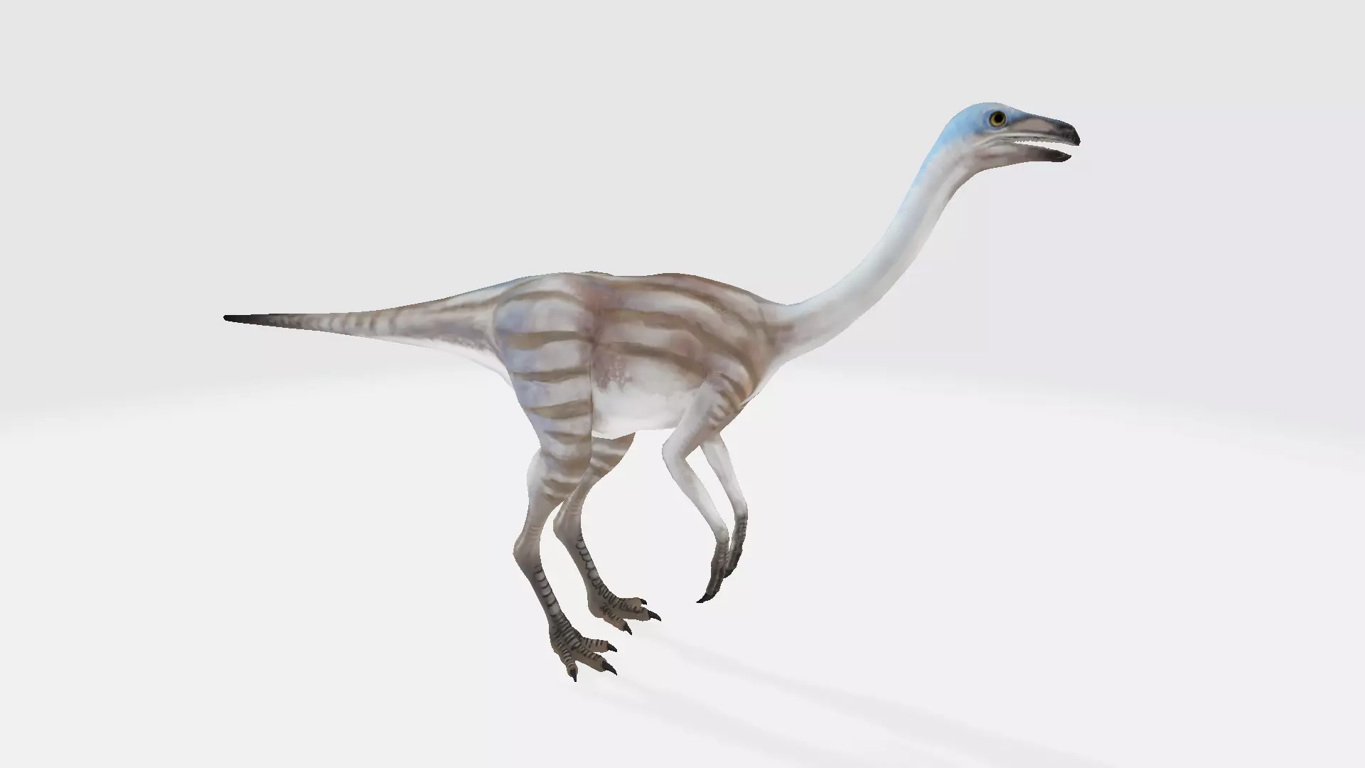 Struthiomimus dinosaur 3D model_0