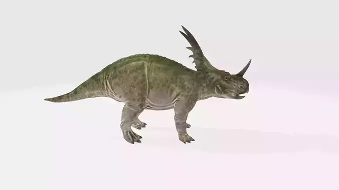 Styracosaurus dinosaur