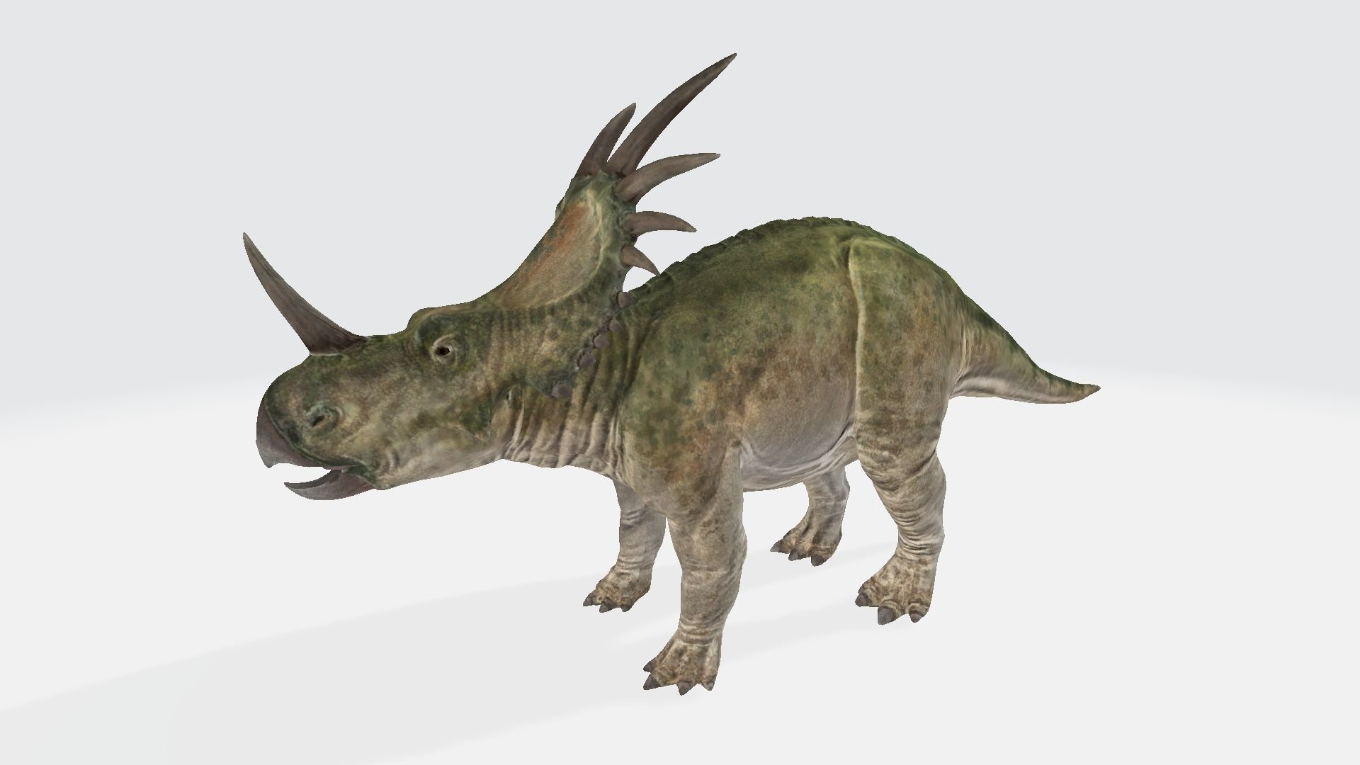 Styracosaurus dinosaur 3D model_1