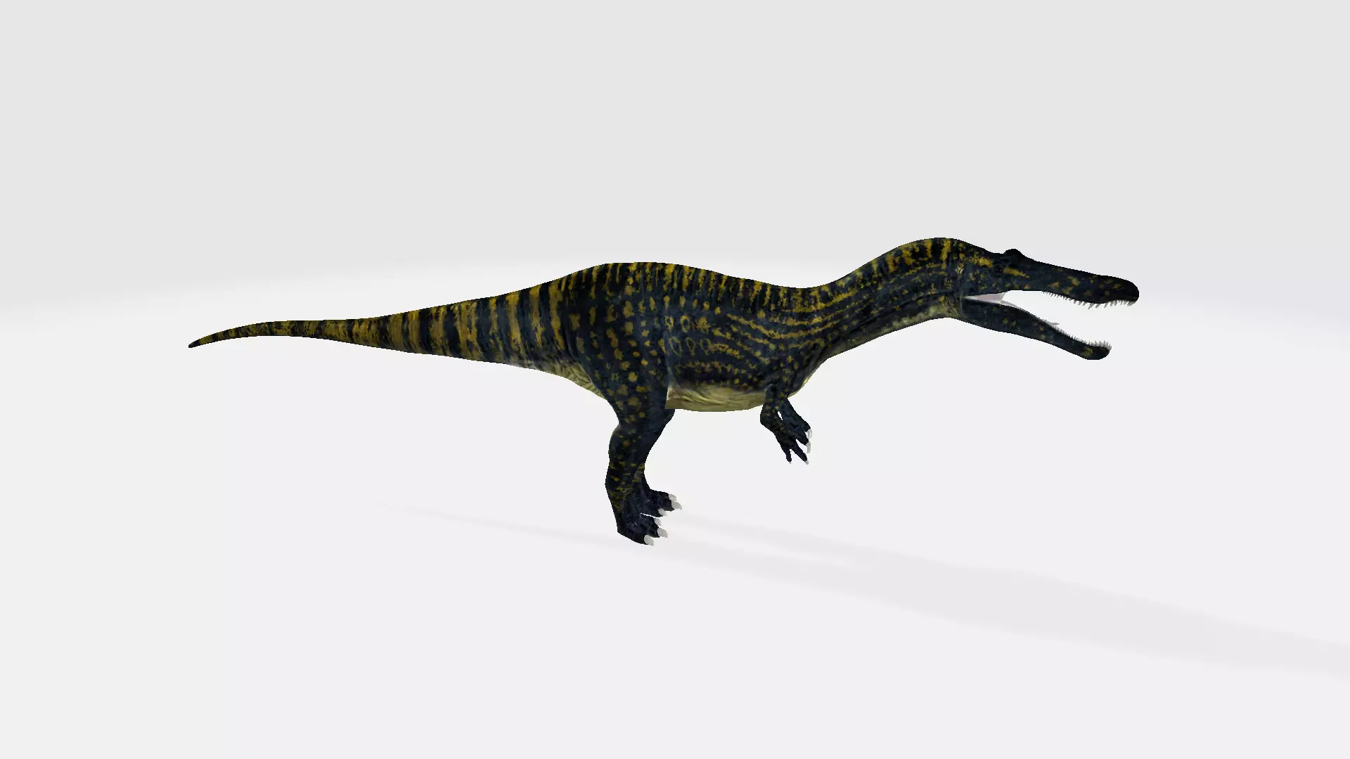 Suchomimus dinosaur 3D model_0