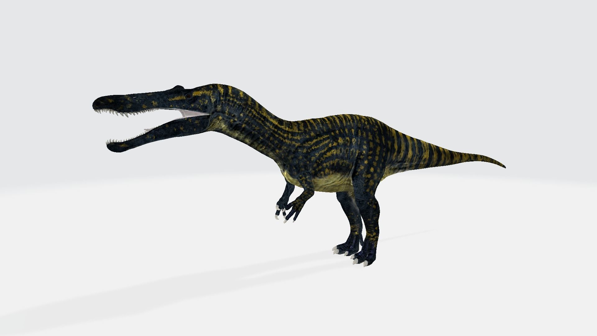 Suchomimus dinosaur 3D model_1