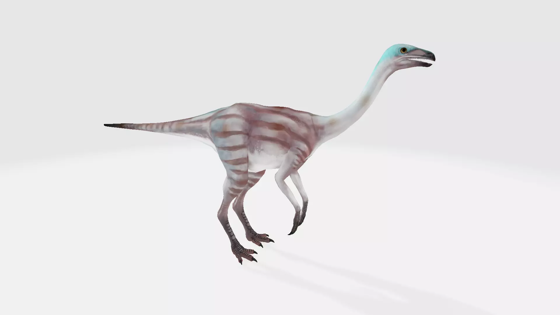 Timimus dinosaur 3D model_0