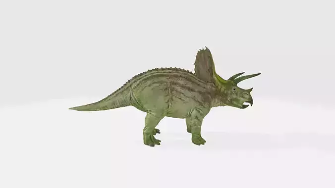 Titanoceratops dinosaur