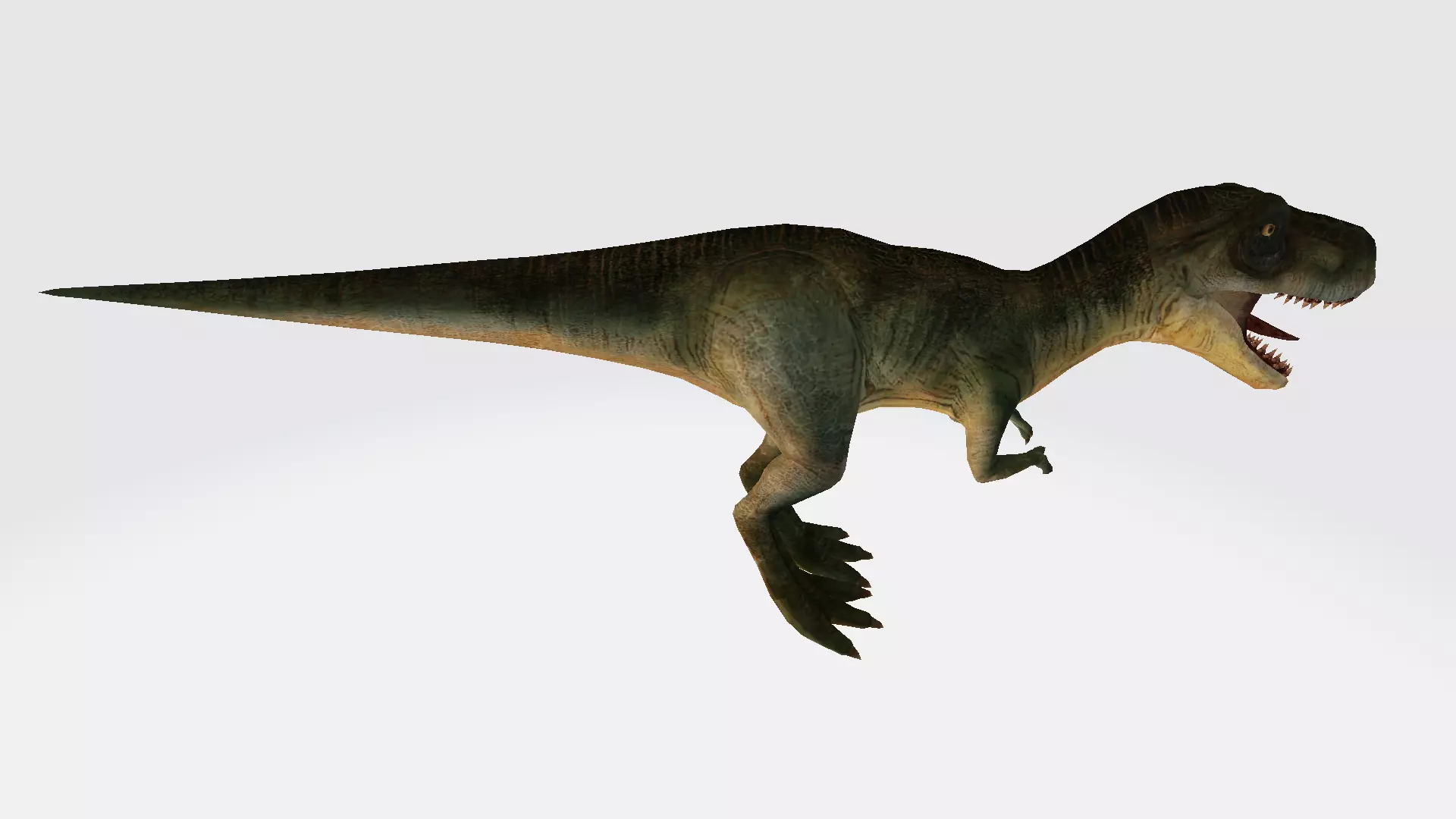 Trex Baby 3D model_0