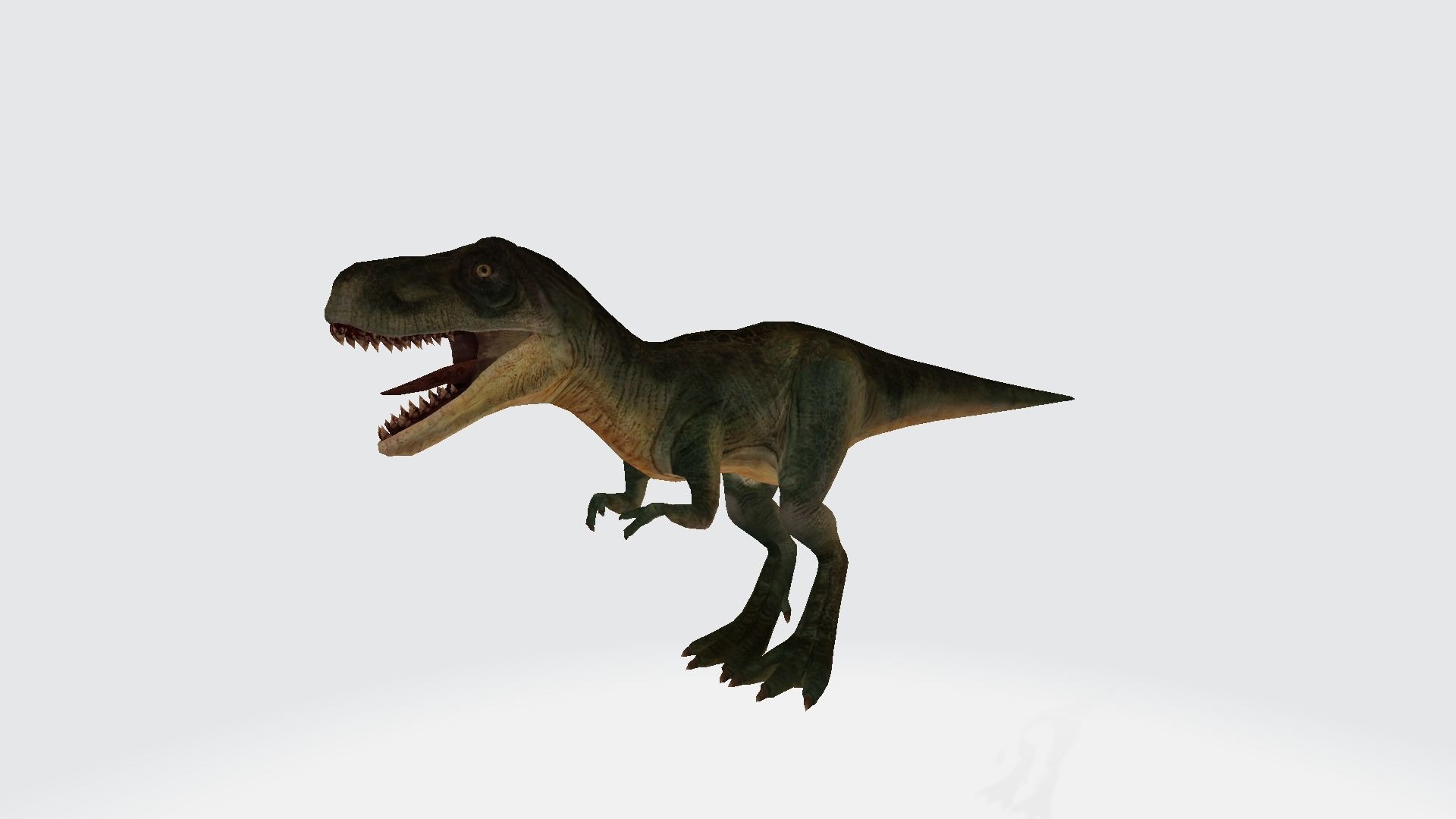 Trex Baby 3D model_1