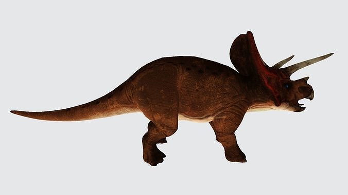 Triceratop dinosaur 3D model