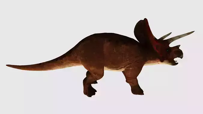 Triceratop dinosaur 3D model