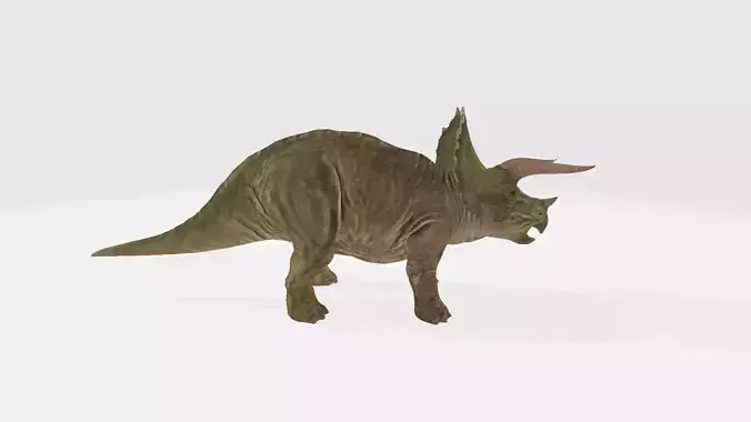 Triceratops dinosaur