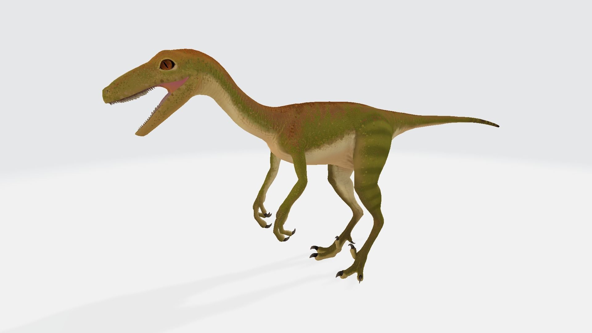 Troodon dinosaur 3D model_1